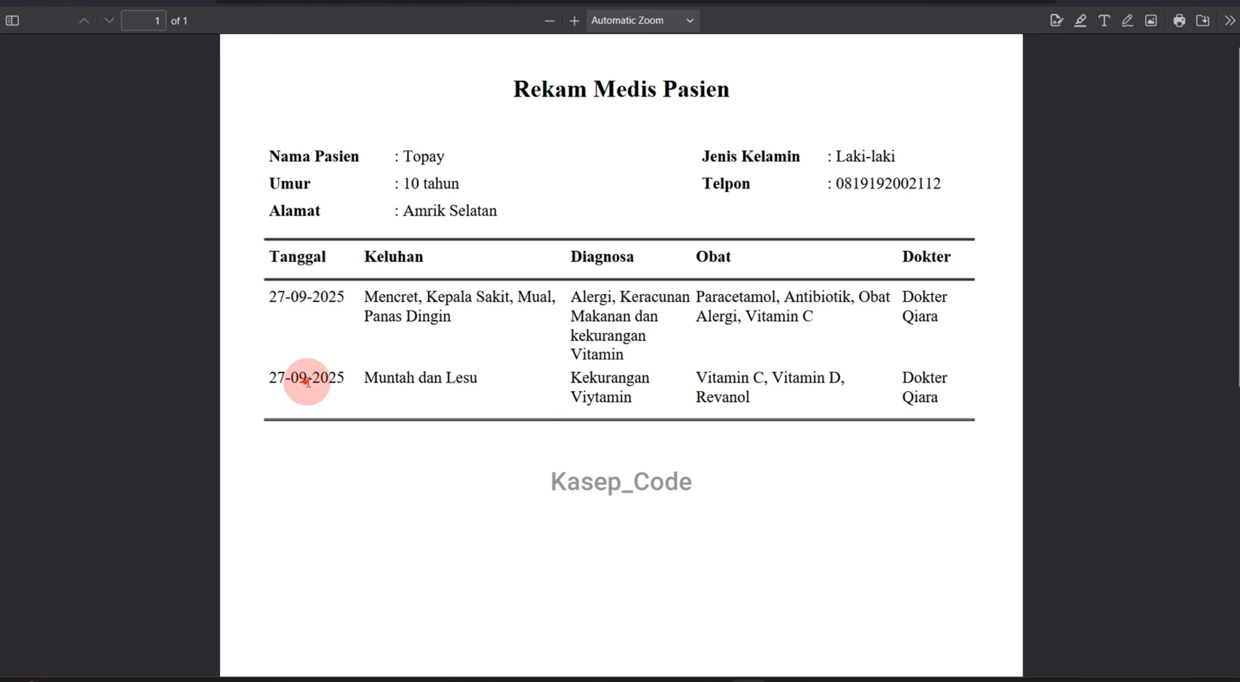 Source Code Aplikasi Rekam Medis | Sistem Informasi Rekam Medis | Source Code Website Rekam Medis